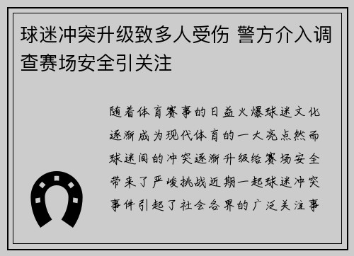 球迷冲突升级致多人受伤 警方介入调查赛场安全引关注 球迷冲突升级致多人受伤 警方介入调查赛场安全引关注